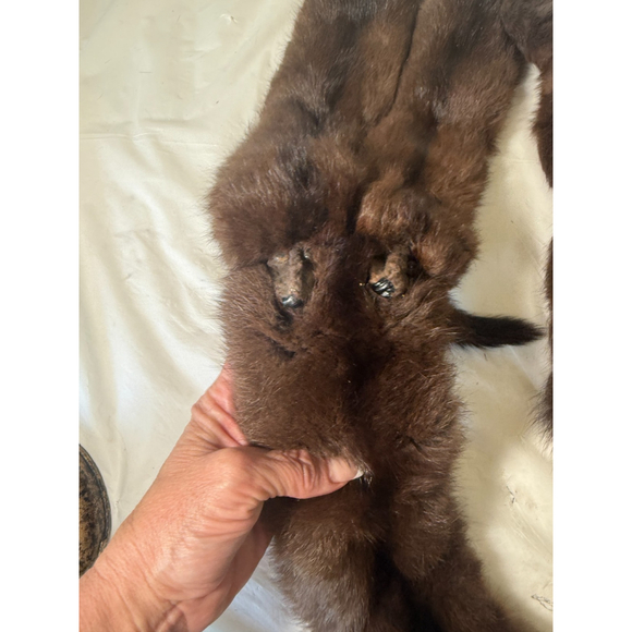 Vintage 1940s 5 Full Pelt Mink Stole brown - Picture 3 of 12